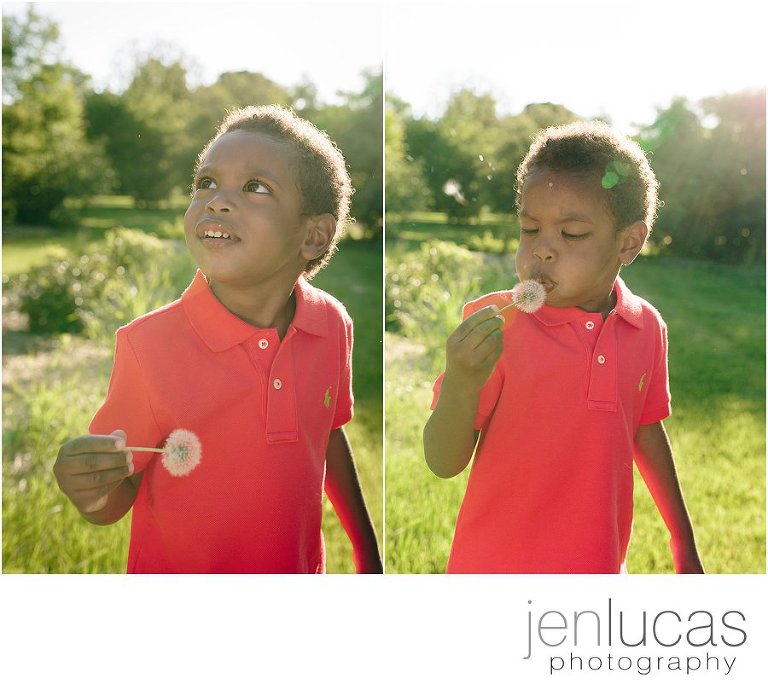 African-American boy holds a dandelion and blows ot make a wish. 