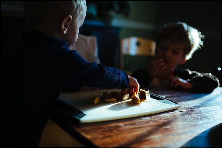 Madison Family Lifestyle Photographer_0015