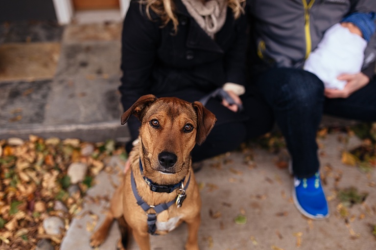 Madison Family Photography_0014