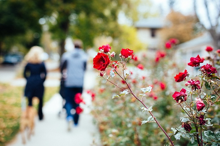 Madison Newborn Photography_0015