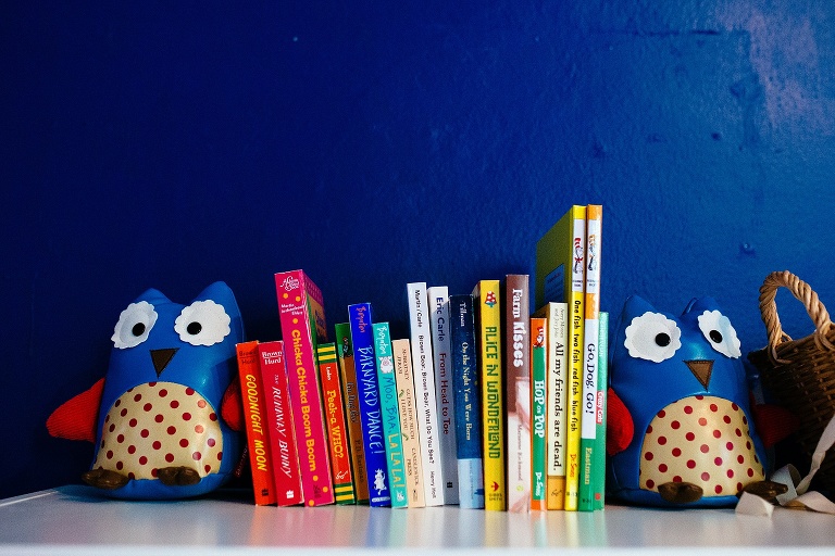 Bright blue walls with baby books and two blue owls resting on a shelf.