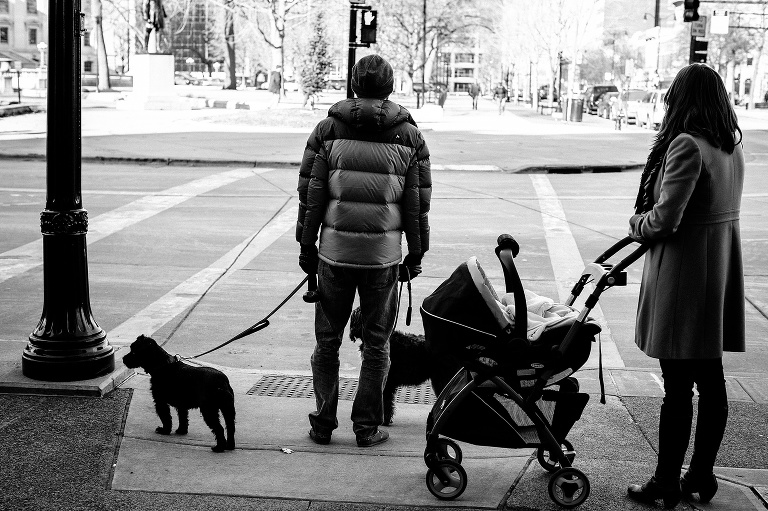 Black and white. Mother pushes stroller as father walks two dogs down sidewalk downtown at christmas time.