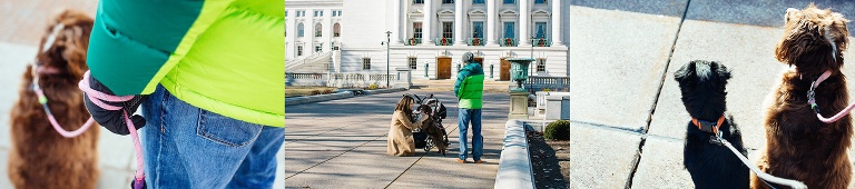 Mother pushes stroller as father walks two dogs down sidewalk downtown at christmas time.