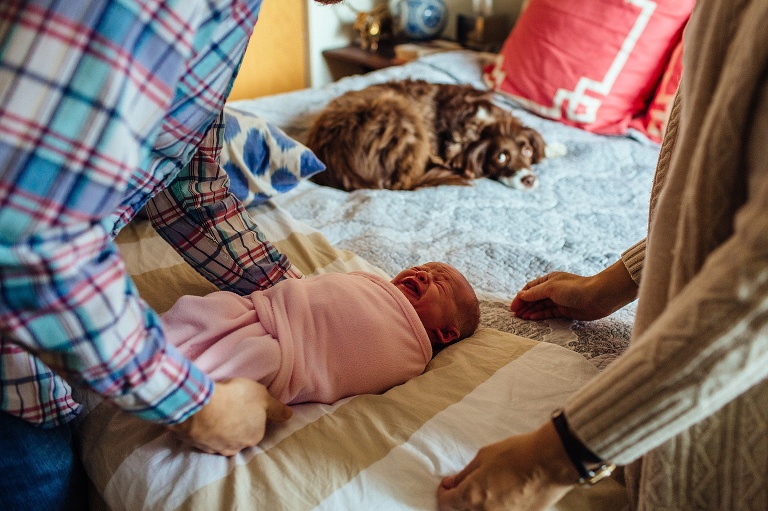 Mother and father look at newborn baby laying on bed next to dog. 
