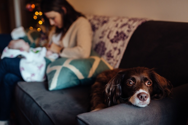 Dog lays on couch next to mother holding newborn baby.