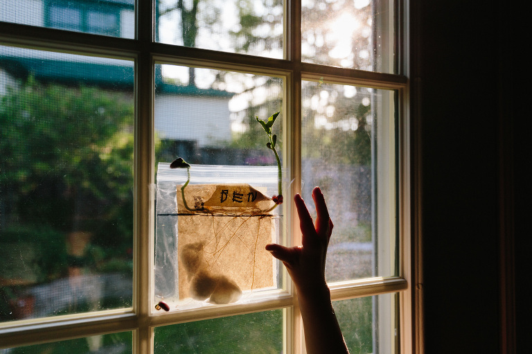 madison-family-documentary-photography-21