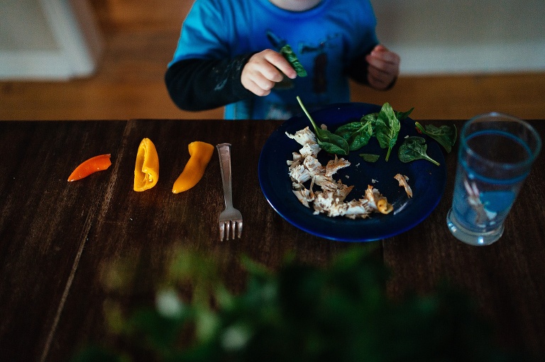 Madison Family Photographer