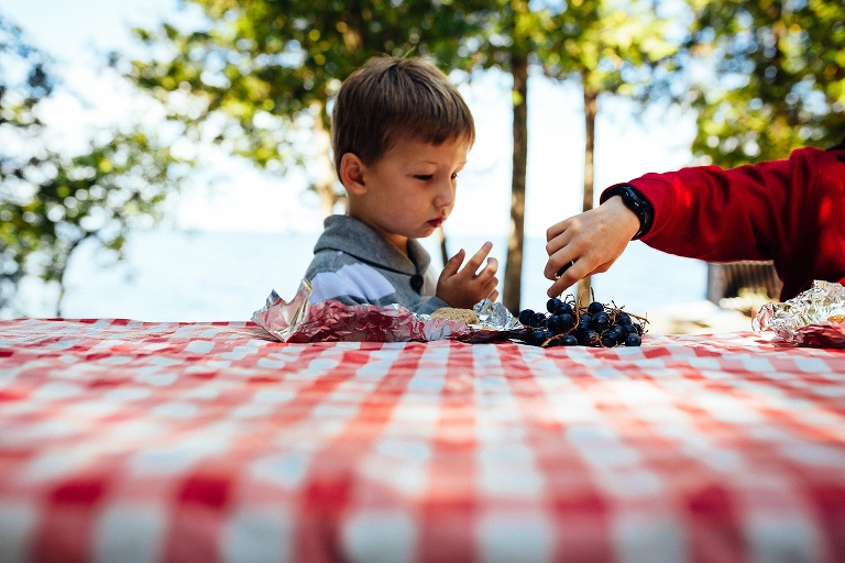 Madison Family Photographer