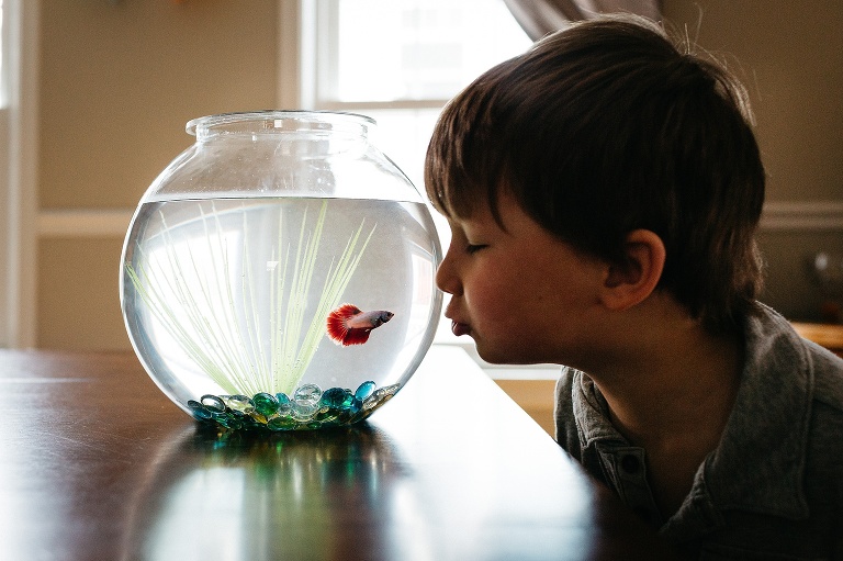 Boy kisses fish tank with red, white, and blue beta fish.