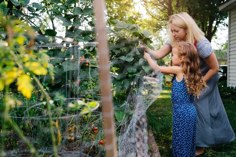 Mom and daughter pick green beans off plant in backyard garden. 