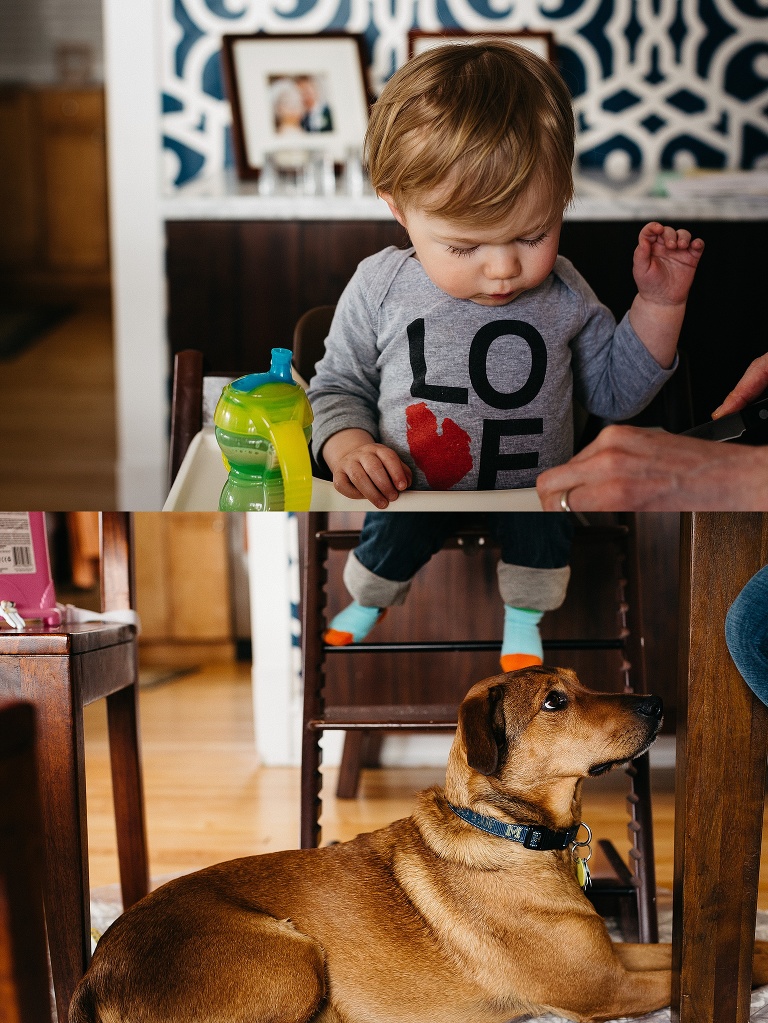 Little boy sitting in his high chair at the table with dog under his little feet.
