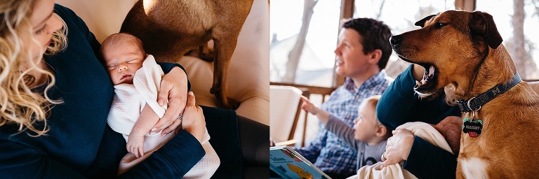 Family and dog sits on porch couch reading a book.