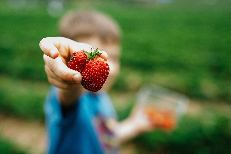 Young boy holding a red strawberry up to the camera lens.