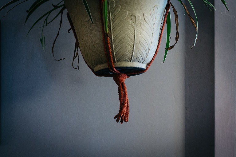 Plant hanging in the air by red ropes next to purple walls.