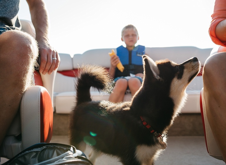 Family on a boat. Mothers leg, Fathers leg, puppy in between them, son eating a snack behind them. 