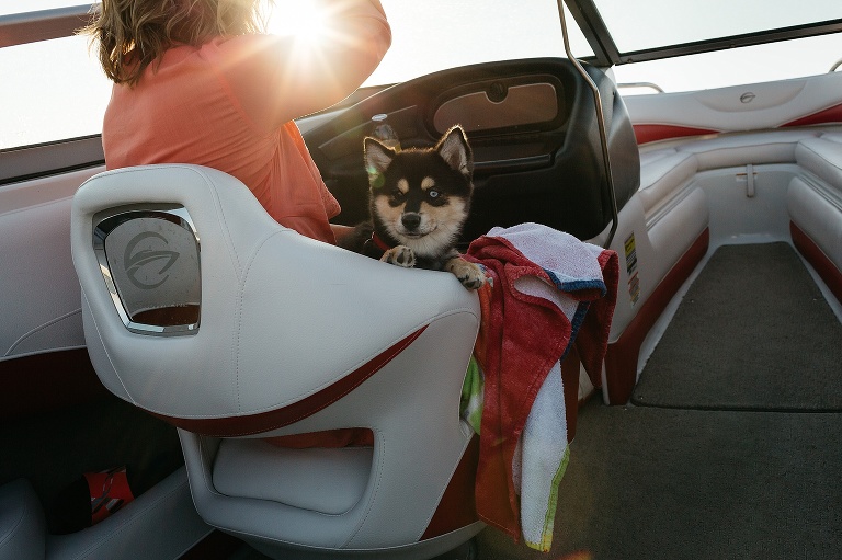 Mom sitting on motor boat looking around with a puppy on her lap.
