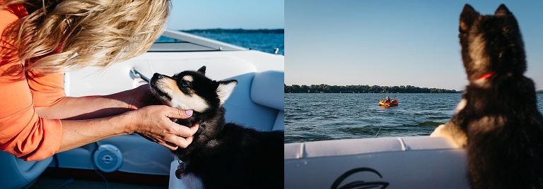 Puppy on a motor boat.
