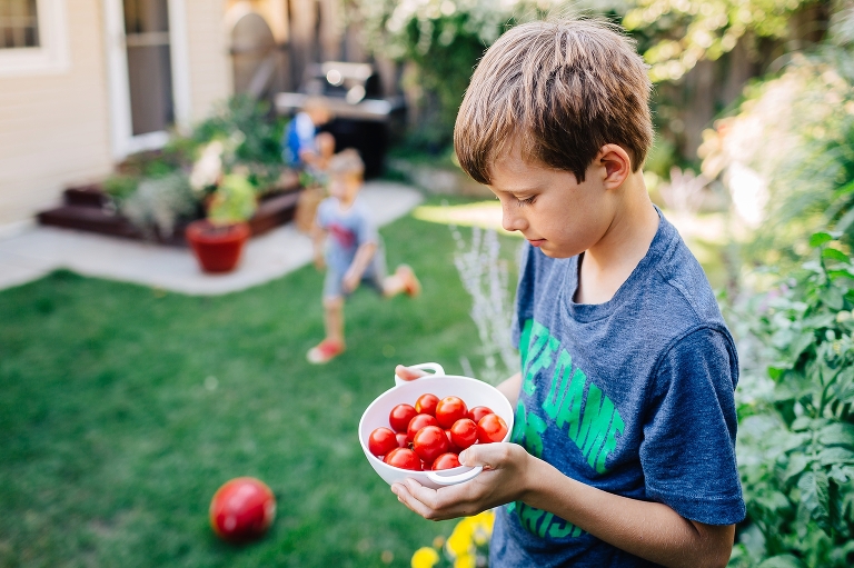 Boy stands in small backyard holding bowl full of red cherry tomatoes as brothers run around in the background.