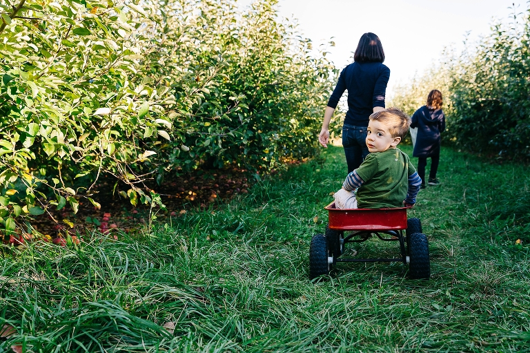 Mother pulls son in red wagon through the grass at a apple orchard.