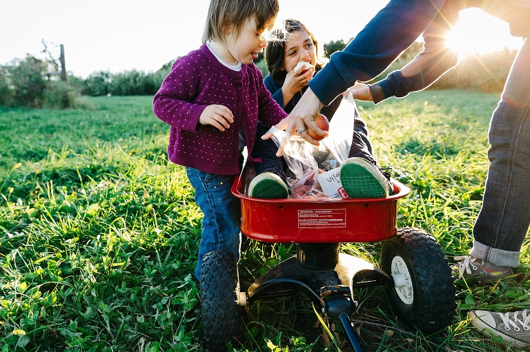 Girl sits in red wagon eating an apple. Dad holds bag full of apples open for toddler to grab out of. Sun setting in the background.
