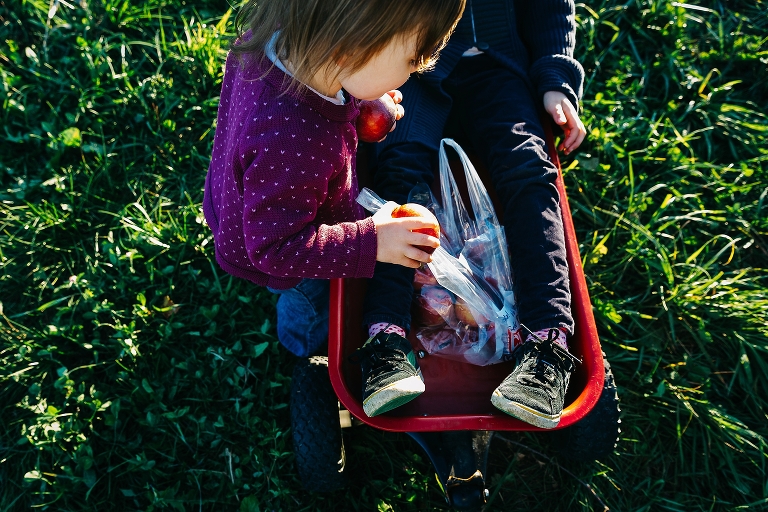 Kids feet laying in red wagon sitting in the grass plastic bag full of apples sitting in the wagon and toddler grabs apple out of the bag