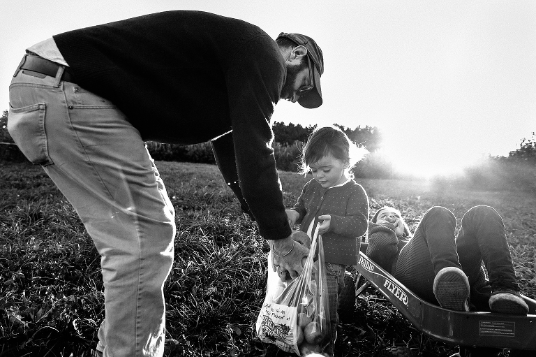 Black and white. Father holds plastic bag full of apples open for daughter to grab out of. Sun setting in the background