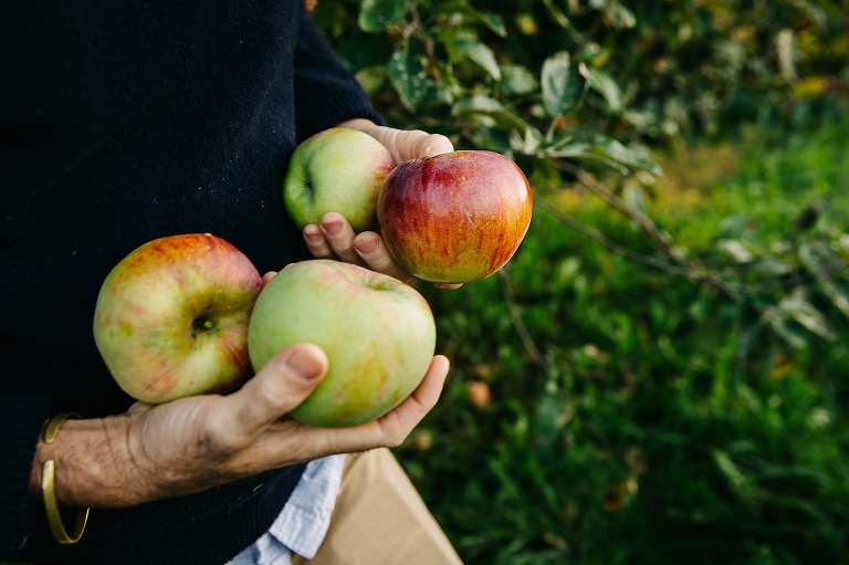 Woman holds four apples in her hands while walking at a apple orchard