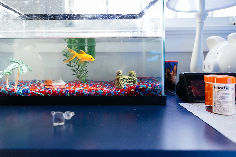 Fish tank with one gold fish sits on blue dresser in bedroom
