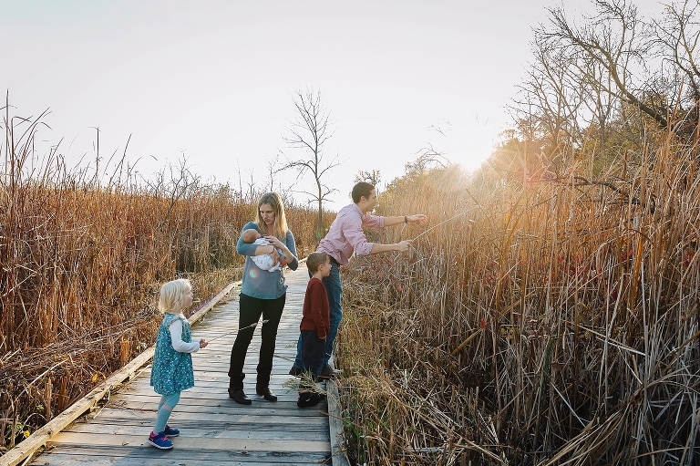 Family of five walks down a boardwalk together. mother holds newborn baby while father gets cattails for his son and daughter to play with.