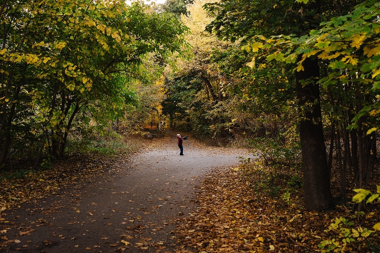 Young boy standing in the center of path with colored fall leaves all around him plays catch with a baseball
