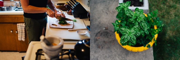 Man cutting basil from outdoor basil plant