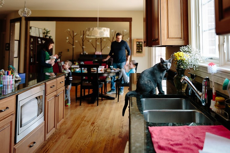 Focus on gray cat near the sink and yellow flowers while the family of 5 is in the background around dining room table