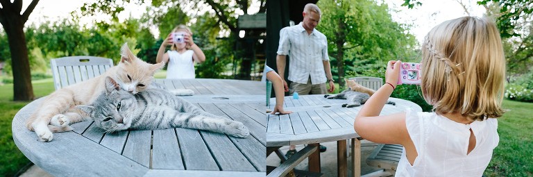 Two cats lying on top of each other wiht girl in background taking their picture with small camera; focus on girl's camera taking cat's picture 