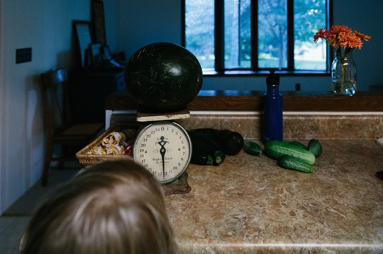 A watermelon sits on an old scale, measuring in at 12 pounds. 