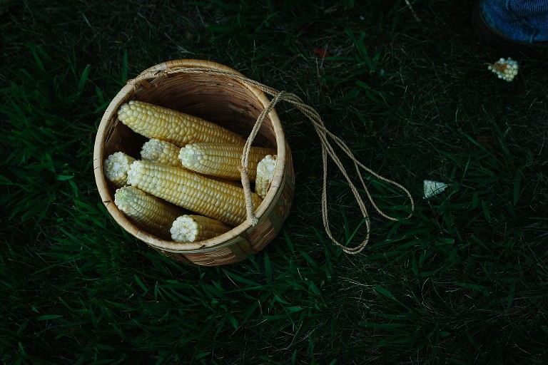 Textured basket of yellow corn in green grass. 