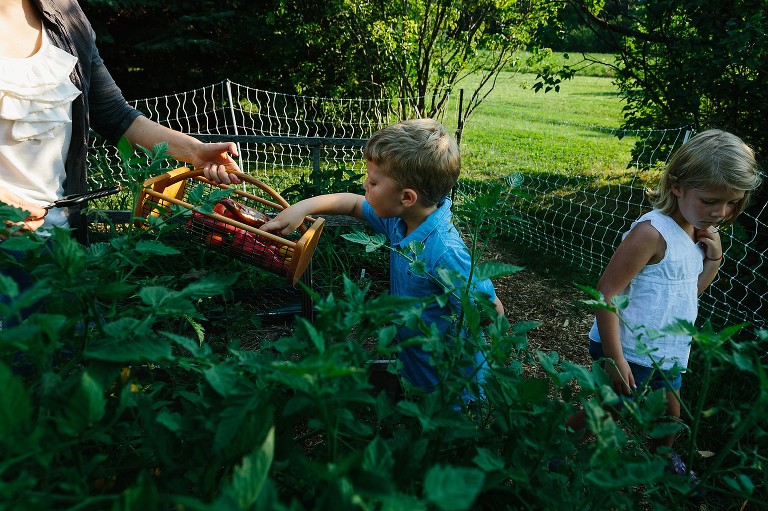 Boy puts peppers in garden basket that mom is holding out for him. Daughter is walking out of the frame. 