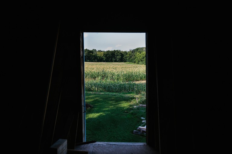 View from inside a barn looking out into corn field, blue skies, and trees 
