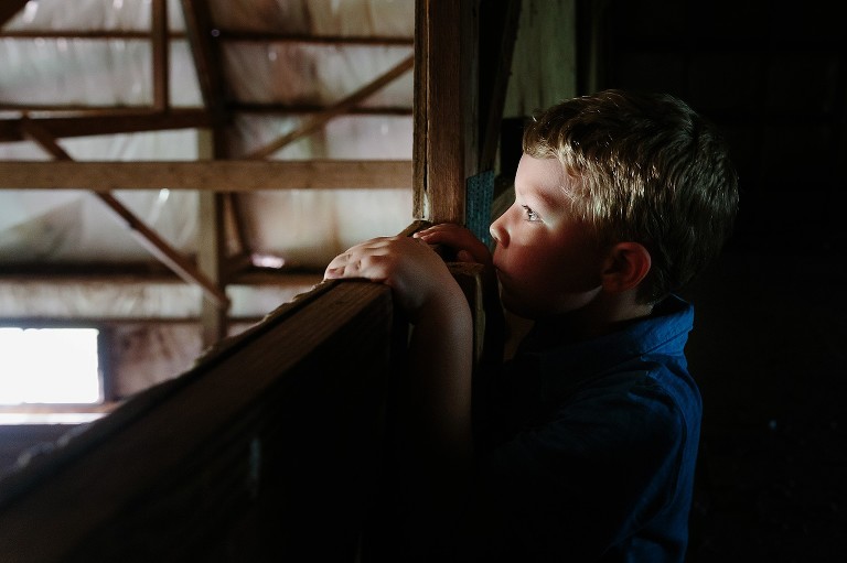 Boy looks over the ledge inside a barn. 