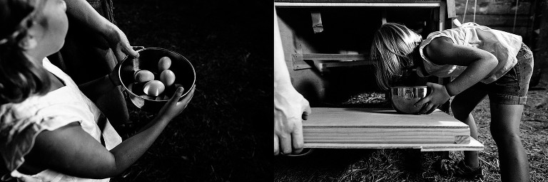Girl gathers a bowl full of eggs from hens. 