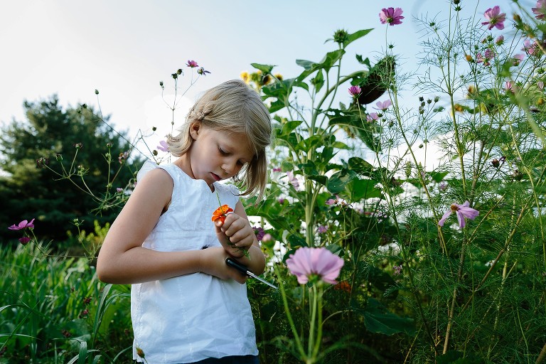 Girl cuts and holds fresh wildflowers. 