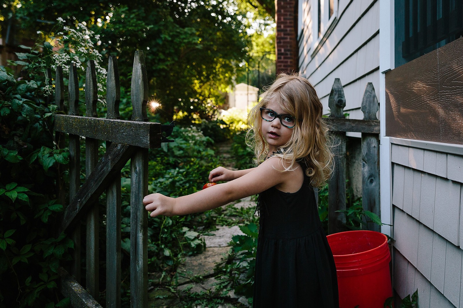 young girl carries garden tomatoes through gate in her backyard