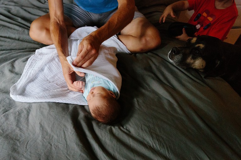 Dad swaddles newborn in white blanket on bed. Dog and boy look on. 