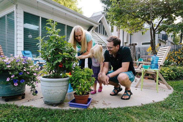 Family picks tomatoes from patio garden.