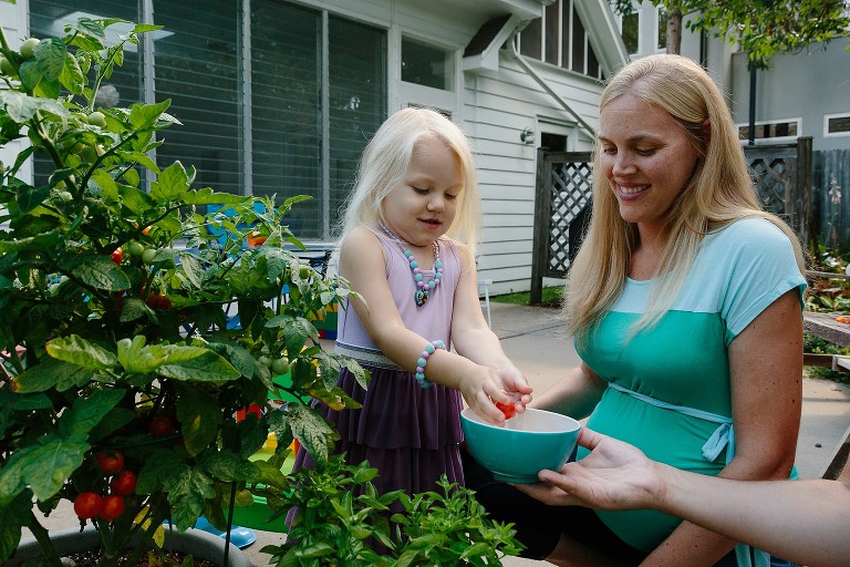 preschool girl drops cherry tomatoes from patio garden into a blue bowl. Her mother is smiling . 