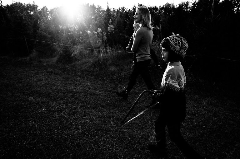Mother carries toddler son while walking in a field of evergreen trees. Older son with them. 
