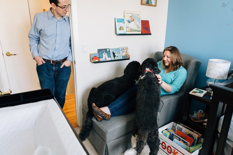 Two family dogs are loved by expectant mother. Father looks on. 