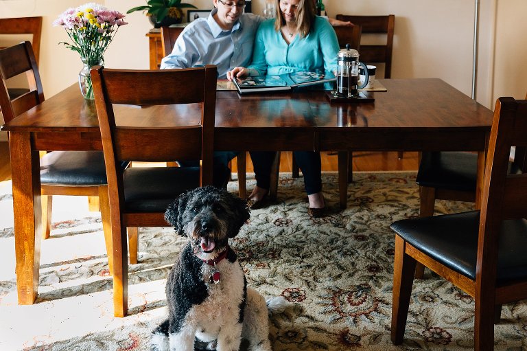Happy dog in dining room 