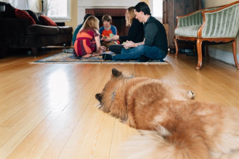 Family dog watches family play card game