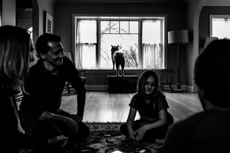 Dog looks out window 