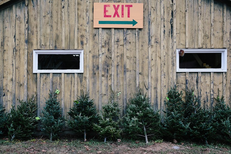 Exit sign and tiny trees line a barn wall 